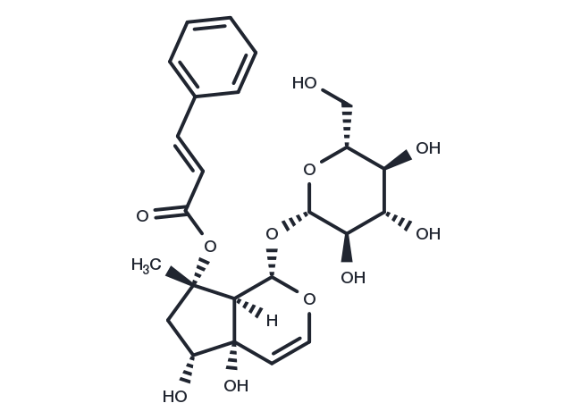 TargetMol Chemical Structure Harpagoside