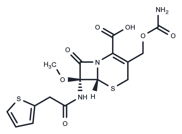 TargetMol Chemical Structure Cefoxitin