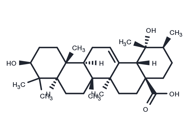 Ilexgenin B Chemical Structure