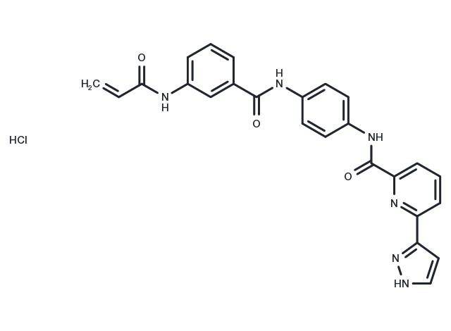 JH-X-119-01 hydrochloride Chemical Structure