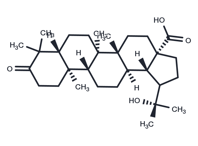 TargetMol Chemical Structure 20-Hydroxy-3-oxo-28-lupanoic acid