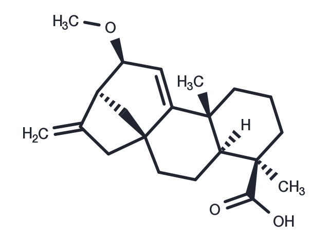 12alpha-Methoxygrandiflorenic acid Chemical Structure