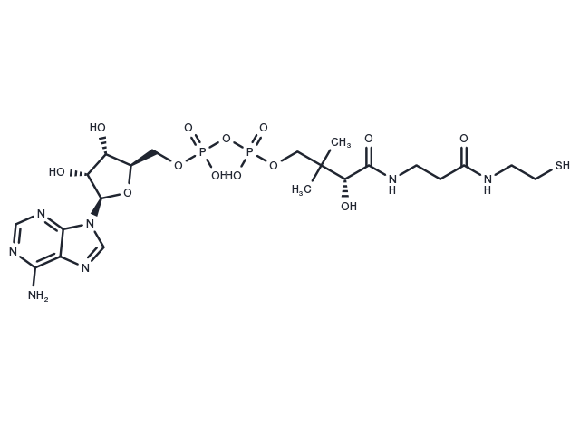 3'-Dephosphocoenzyme A Chemical Structure