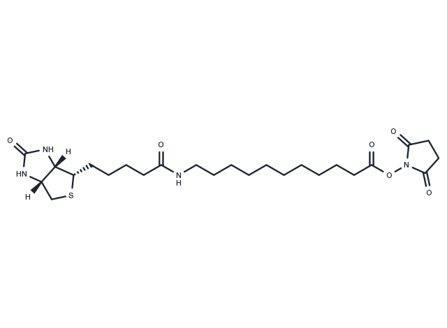 Biotin-C10-NHS Ester Chemical Structure