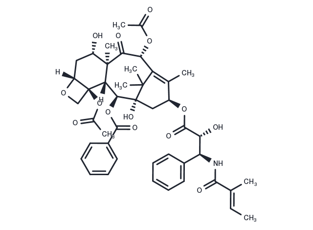 TargetMol Chemical Structure Cephalomannine
