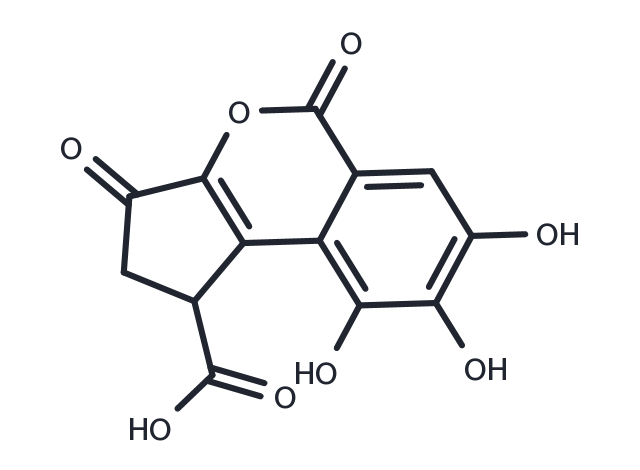TargetMol Chemical Structure Brevifolincarboxylic acid