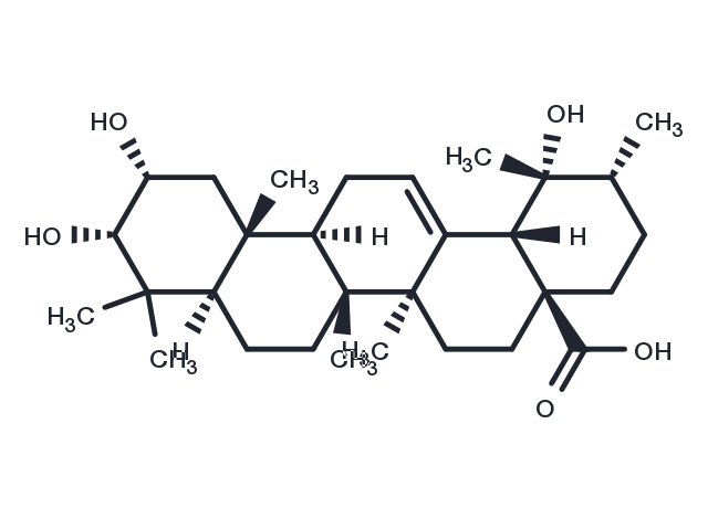 Euscaphic acid Chemical Structure