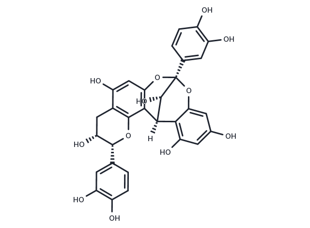 Procyanidin A5' Chemical Structure