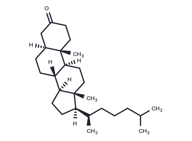 TargetMol Chemical Structure 5α-Cholestan-3-one