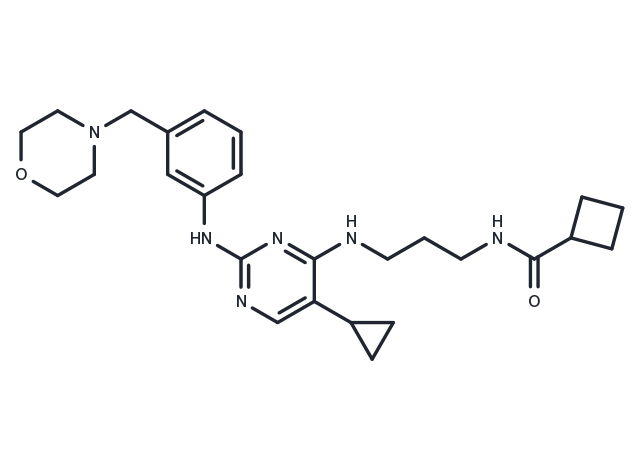 TargetMol Chemical Structure MRT67307