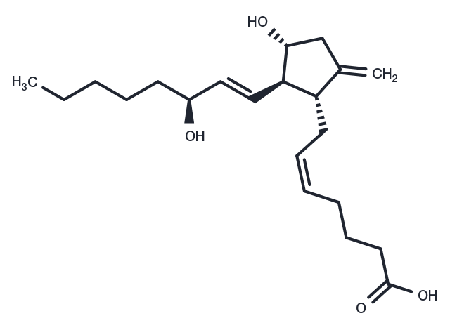 9-deoxy-9-methylene Prostaglandin E2 Chemical Structure