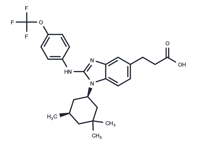 TargetMol Chemical Structure BAY-1436032
