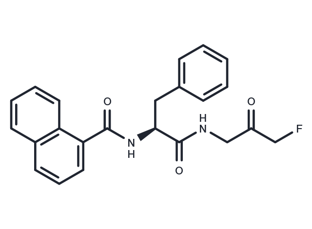 TargetMol Chemical Structure FMK 9a