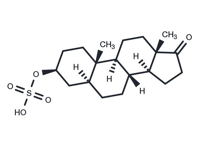 Epiandrosterone Sulfate Chemical Structure