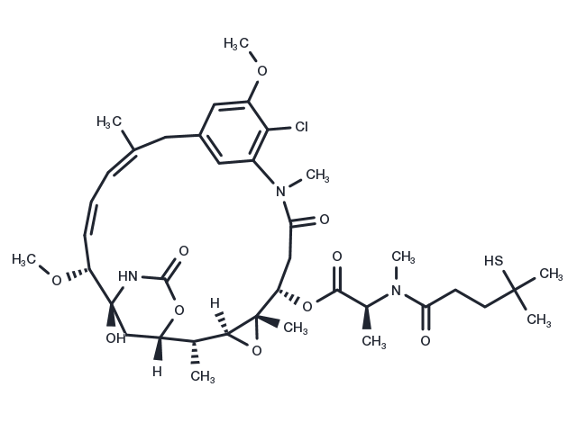 TargetMol Chemical Structure DM4