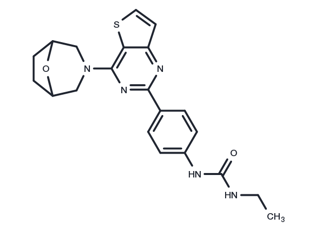 TargetMol Chemical Structure mTOR inhibitor 9b