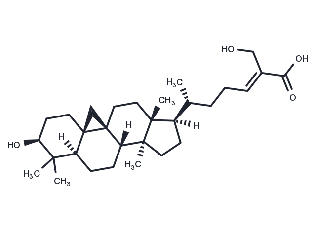 TargetMol Chemical Structure 27-Hydroxymangiferolic acid