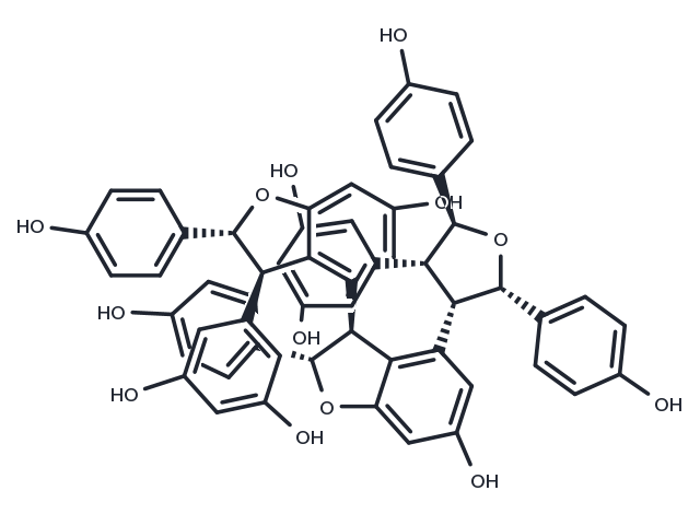 TargetMol Chemical Structure Kobophenol A