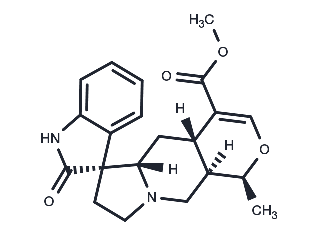 TargetMol Chemical Structure Mitraphylline