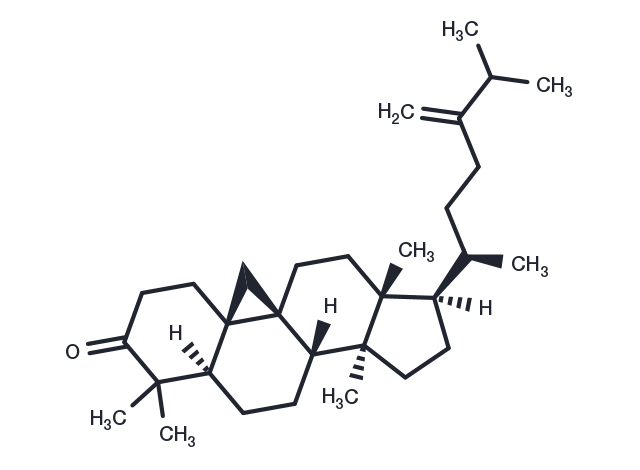 TargetMol Chemical Structure 24-Methylenecycloartanone