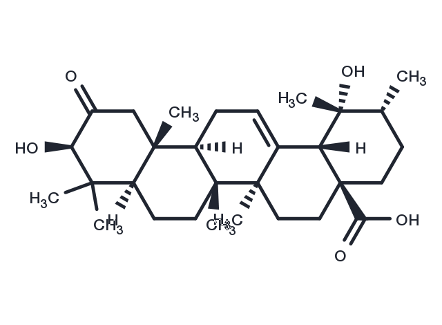 2-Oxopomolic acid Chemical Structure