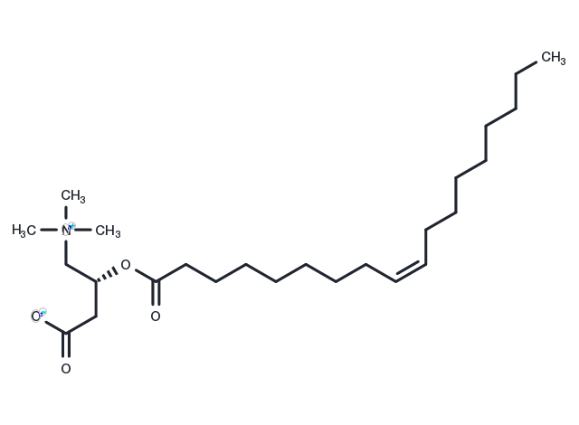TargetMol Chemical Structure Oleoylcarnitine