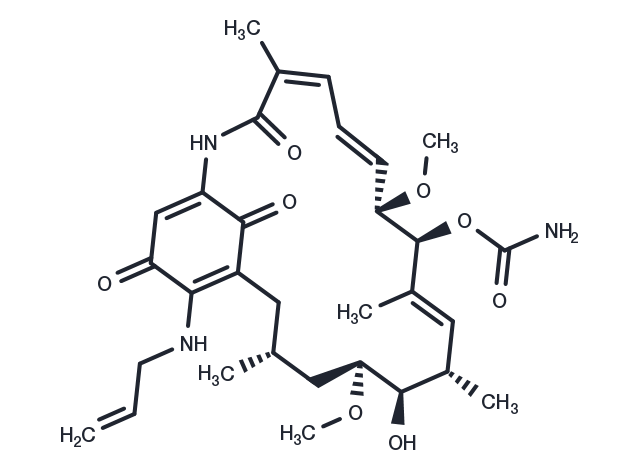 TargetMol Chemical Structure Tanespimycin