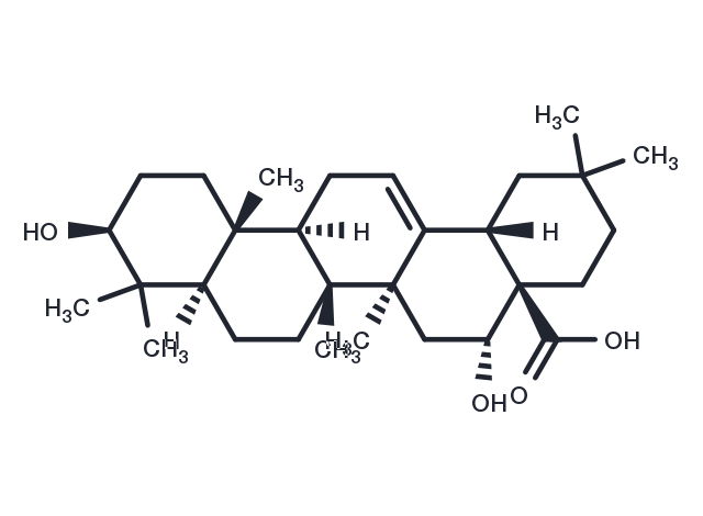 TargetMol Chemical Structure Echinocystic acid