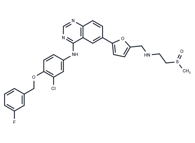 TargetMol Chemical Structure Selatinib