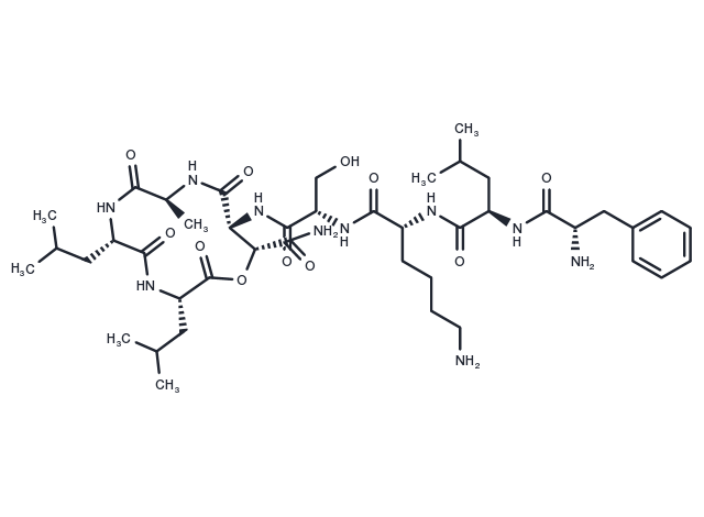 TargetMol Chemical Structure Clovibactin
