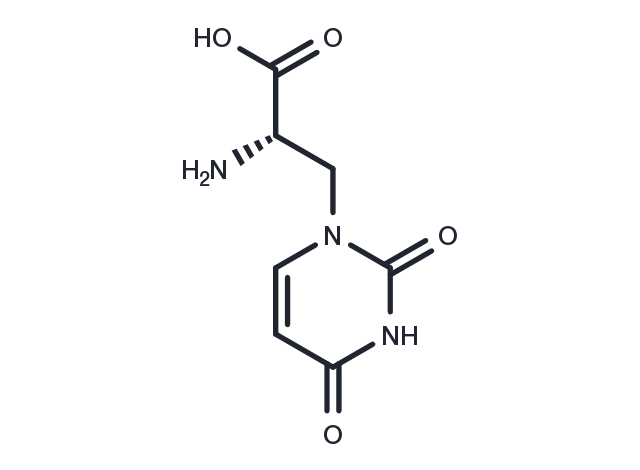TargetMol Chemical Structure (S)-Willardiine