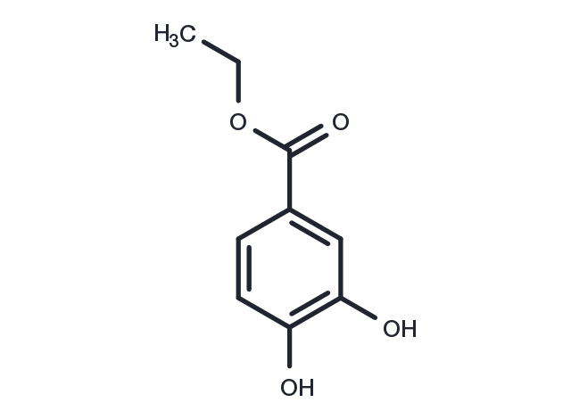 TargetMol Chemical Structure Ethyl 3,4-dihydroxybenzoate