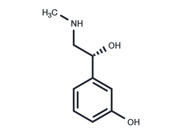 TargetMol Chemical Structure Phenylephrine
