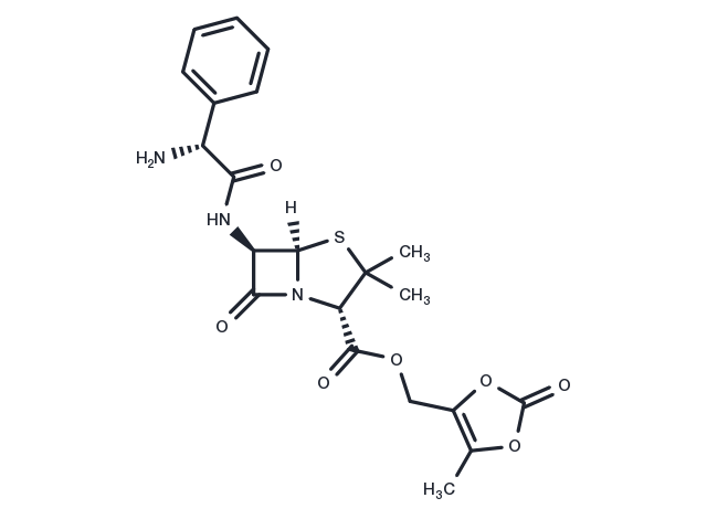 Lenampicillin Chemical Structure