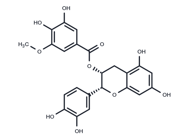 TargetMol Chemical Structure (-)-Epicatechin-3-(3''-O-methyl) gallate