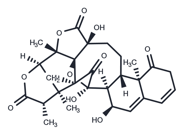 TargetMol Chemical Structure Physalin L