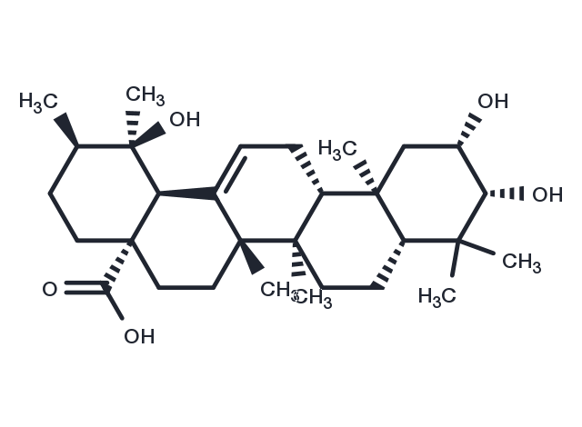 TargetMol Chemical Structure 2-Epitormentic acid