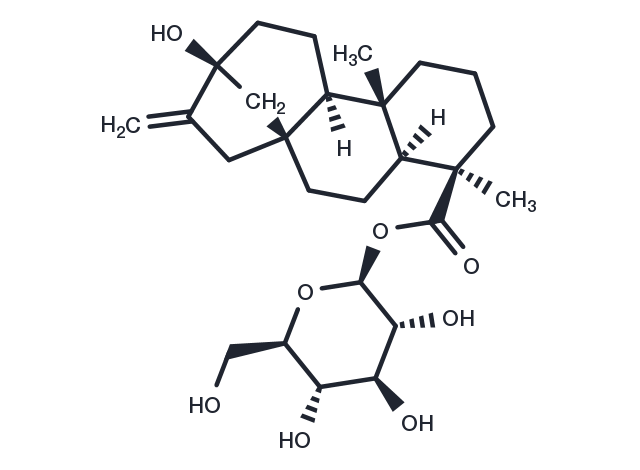 Steviol-19-O-glucoside Chemical Structure