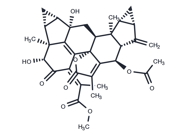 TargetMol Chemical Structure Chlorahololide C