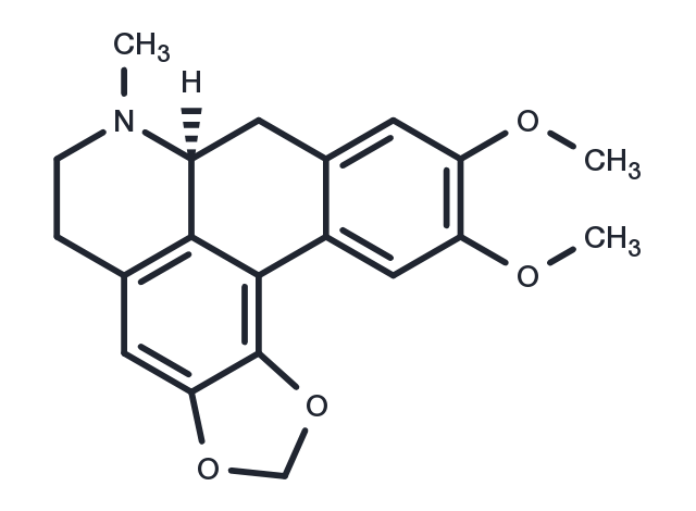 TargetMol Chemical Structure Dicentrine