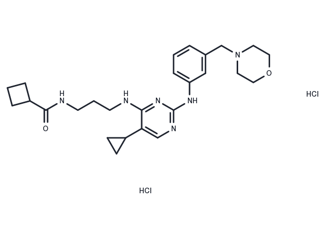 TargetMol Chemical Structure MRT 67307 dihydrochloride