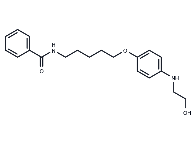 Benzamide, N-(5-(p-((2-hydroxyethyl)amino)phenoxy)pentyl)- Chemical Structure