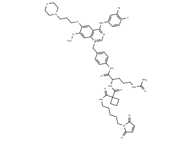 MC-Sq-Cit-PAB-Gefitinib Chemical Structure
