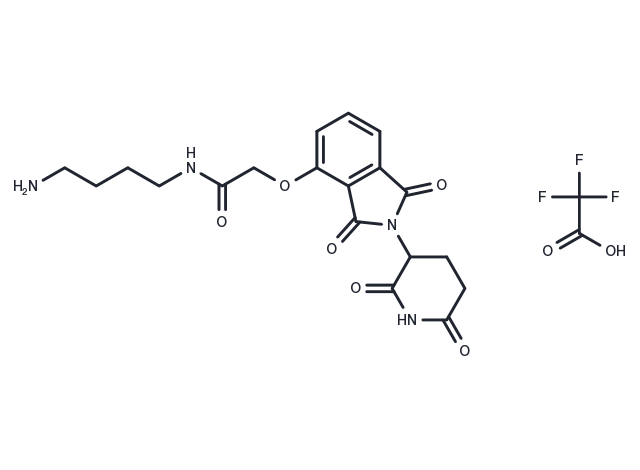 TargetMol Chemical Structure Thalidomide-O-amido-C4-NH2 TFA