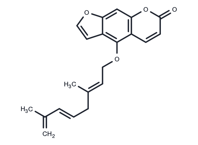 TargetMol Chemical Structure Anhydronotoptol