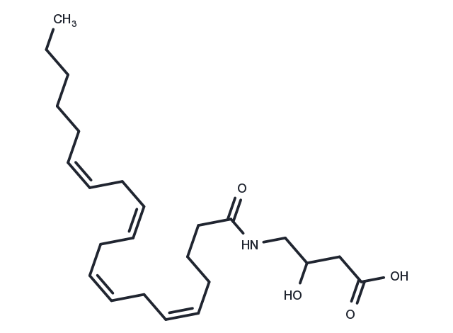 N-Arachidonoyl-3-hydroxy-γ-Aminobutyric Acid Chemical Structure
