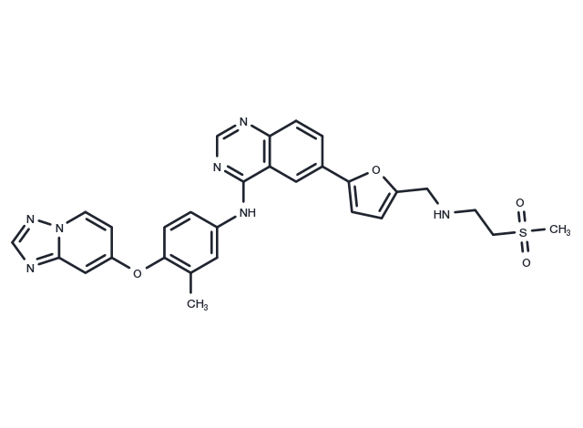 TargetMol Chemical Structure ARRY-380 (analog )