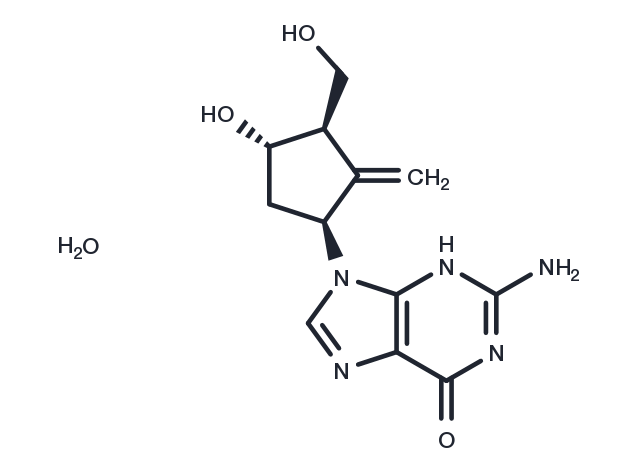 TargetMol Chemical Structure Entecavir monohydrate