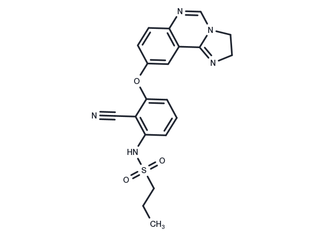 TargetMol Chemical Structure B-Raf IN 16