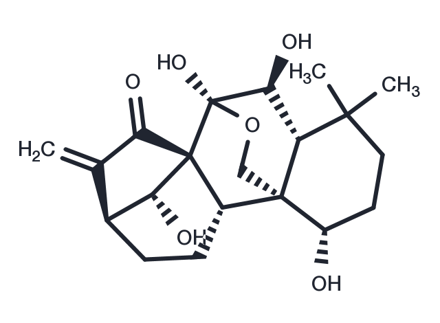 TargetMol Chemical Structure Oridonin